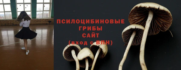 ECSTASY Абинск