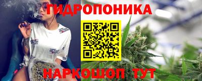 мяу мяу мука Камышлов