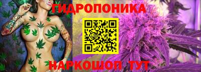 ПСИЛОЦИБИНОВЫЕ ГРИБЫ Канаш