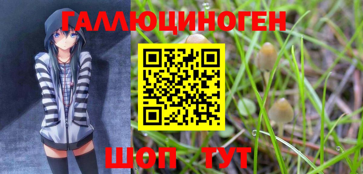 Псилоцибиновые грибы мухоморы Лысьва